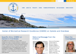 Lifespan Opioid COBRE